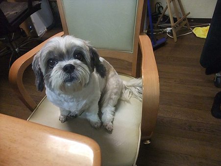 「マッチョないろは」です