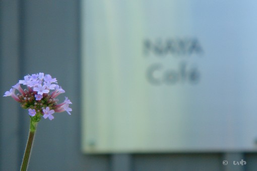上野ファーム 07294.jpg