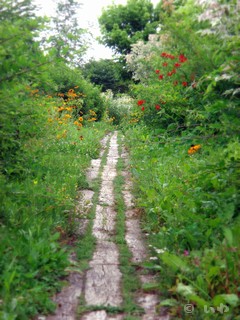 十勝ヒルズ 07559.jpg