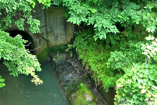 支流 P1060081.jpg