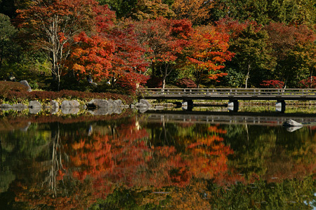 紅葉の映り込み風景!(101111)
