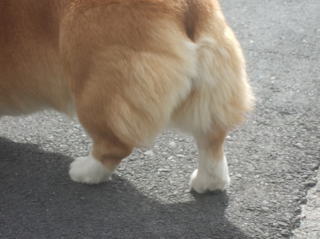DSCF4657