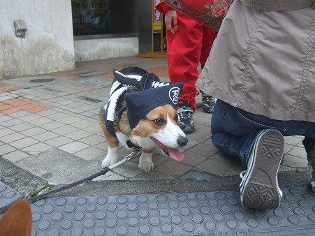 DSCF4746