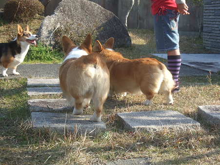 DSCF4836