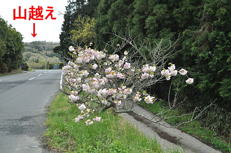 DSC_0039修正