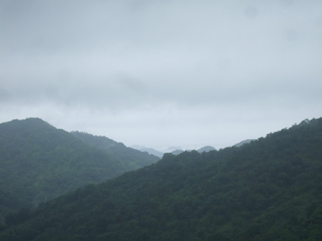 DSCF5467