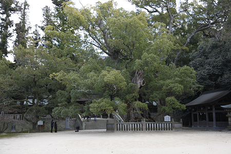 大山祇神社 - 05