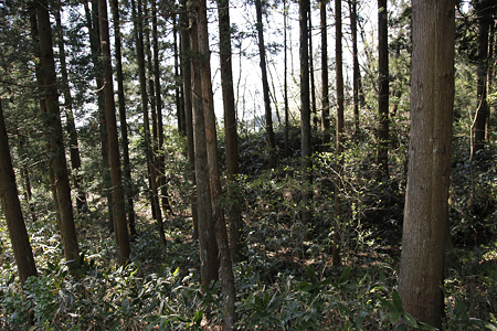 鳥坂城 - 09