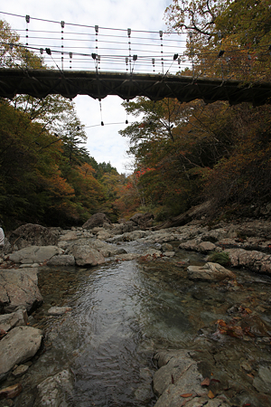 大台ヶ原 - 008