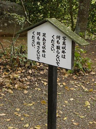 DSCN4182