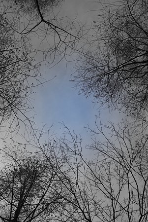 IMGP7562