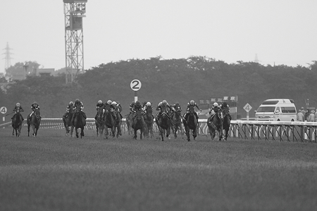 2010 優駿牝馬直線