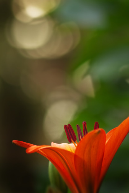 花呼吸