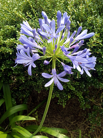 DVC00055_edited