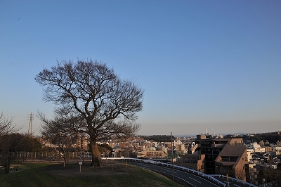 清水丘公園1