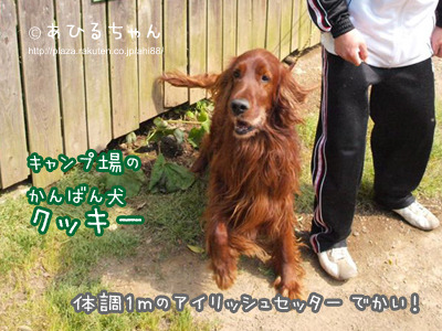 20110513_13