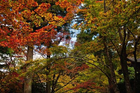 0911181101_DSC_0935