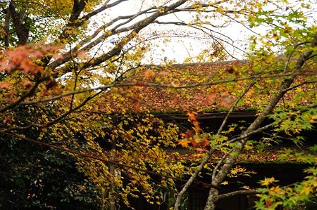 0911181101_DSC_0941