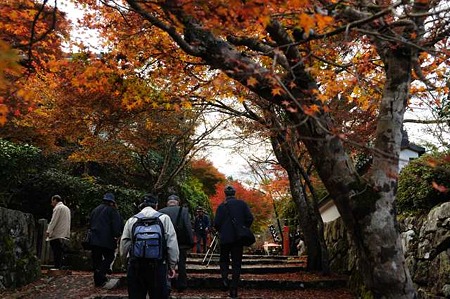 0911181109_DSC_0991