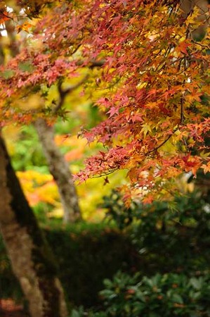 0911181059_DSC_0921