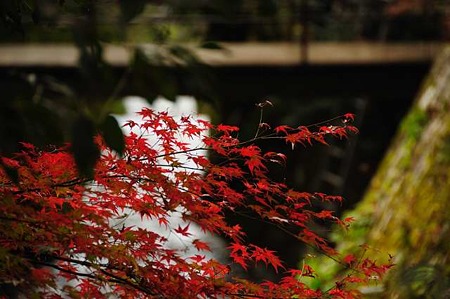 0911181549_DSC_1569