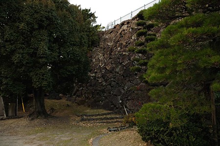 1001011654_DSC_5940