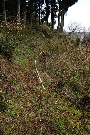 1001021050_DSC_6456