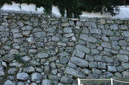 1001040947_DSC_9283