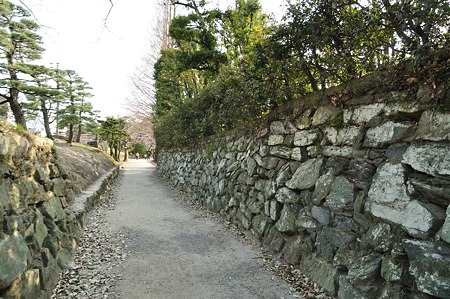 1003221549_DSC_1253