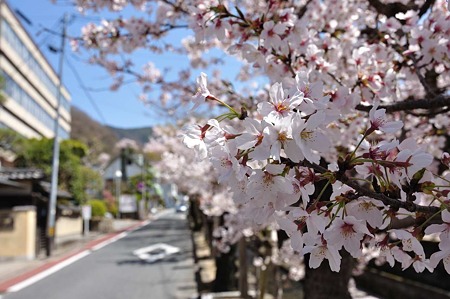 1004081214_DSC_1995