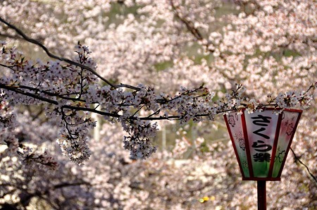 1004081649_DSC_2685