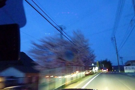 1004081854_P1640622
