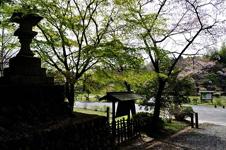 1005030850_DSC_2969