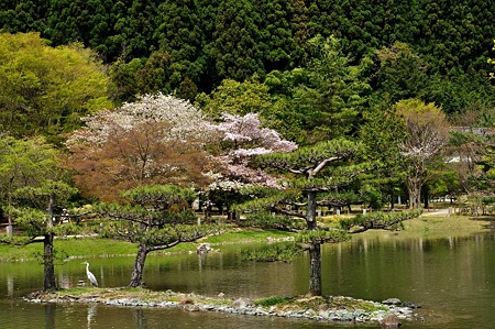 1005031033_DSC_3084