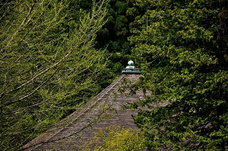 1005031055_DSC_3168