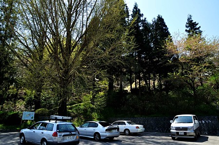 1005031243_DSC_3198