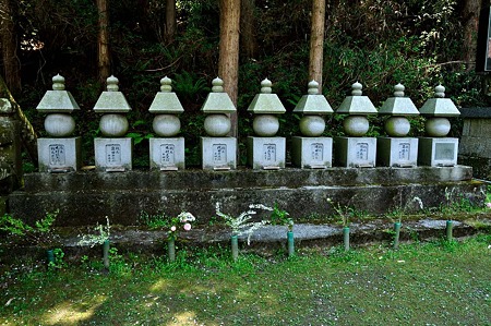 1005031245_DSC_3212