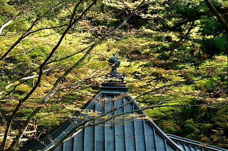 1005031619_DSC_3918