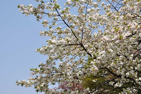 1005051208_DSC_5503