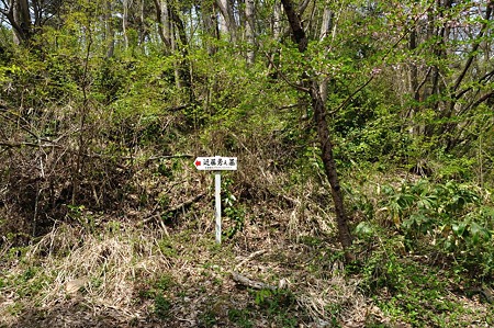 1005051315_DSC_5598