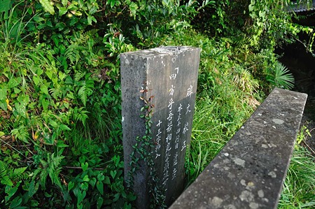 1008211709_DSC_8597