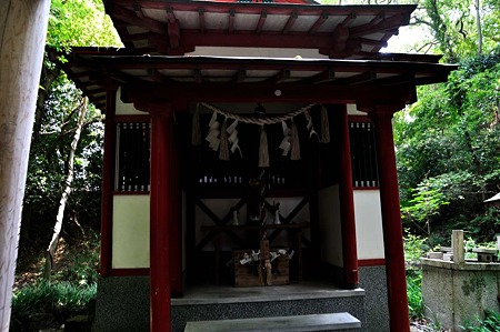1008221227_DSC_8978