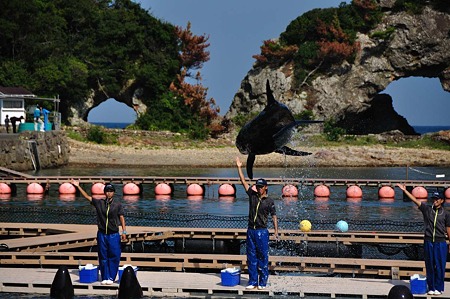 1009191417_DSC_1962