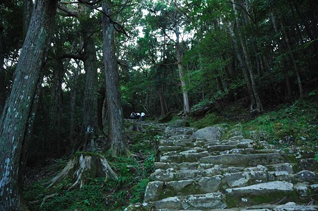 1009191615_DSC_2193