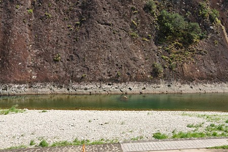 1009201041_DSC_2764