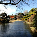 小石川植物園 ２