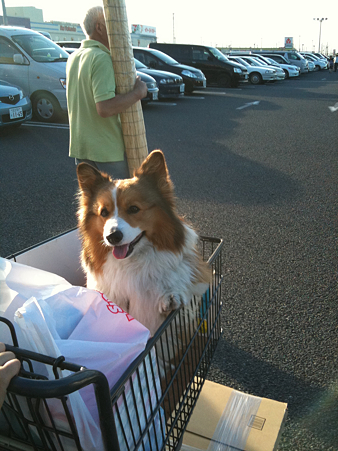 写真 3