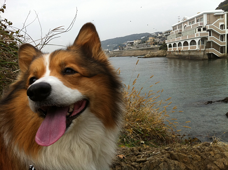写真 2