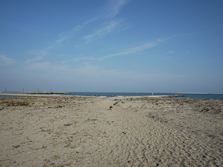 P1120669