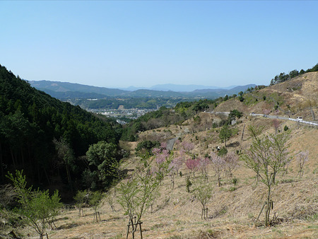 添田公園(3)